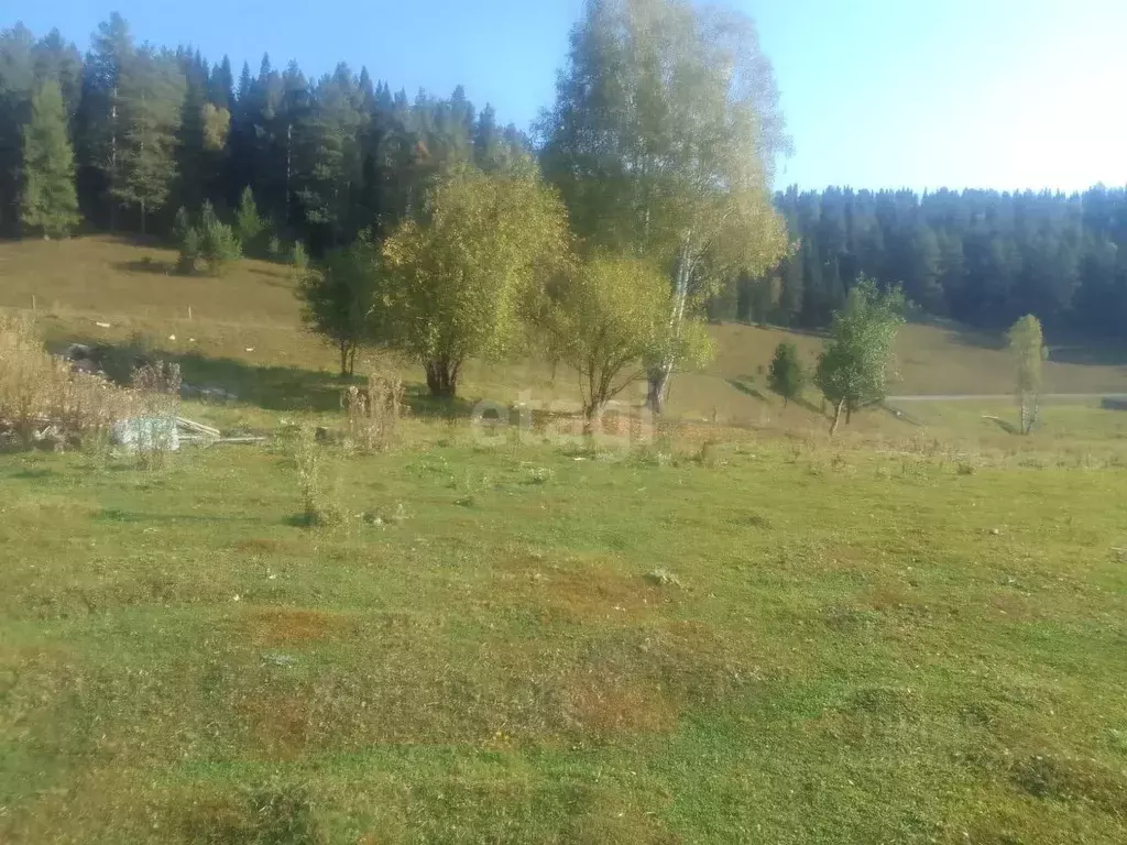 Участок в Алтай, Чойский район, с. Паспаул Трактовая ул. (25.0 сот.) - Фото 0