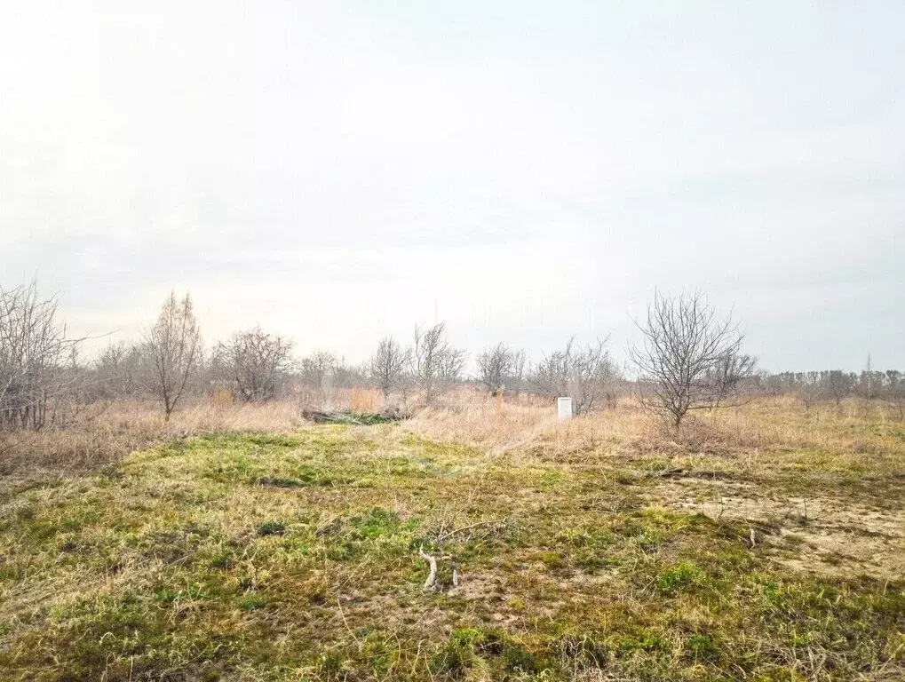 Участок в Зеленоградск, Ботаническая улица (6 м) - Фото 1