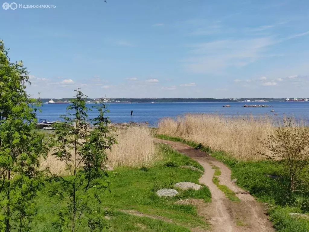 Дом в Выборгский район, Приморское городское поселение, остров Большой ... - Фото 0