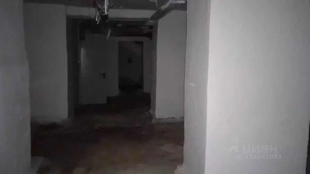 Помещение свободного назначения в Челябинская область, Челябинск ул. ... - Фото 1