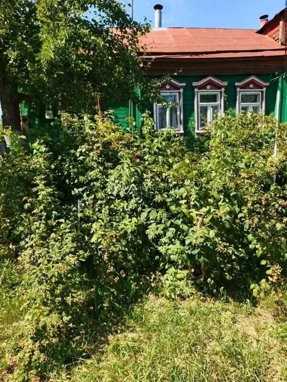 Дом в Владимирская область, Собинка Береговая ул., 4 (40 м) - Фото 1
