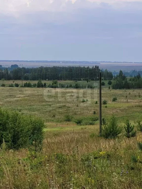 Участок в Мордовия, Кочкуровский район, с. Новая Пырма  (13.0 сот.) - Фото 1