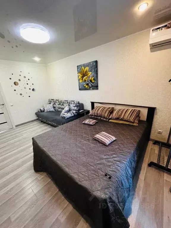 Студия Саратовская область, Саратов ул. Лопатина Гора, 14к1 (33.0 м) - Фото 1