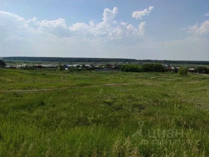 Участок в Челябинская область, Чебаркульский муниципальный округ, д. ... - Фото 2