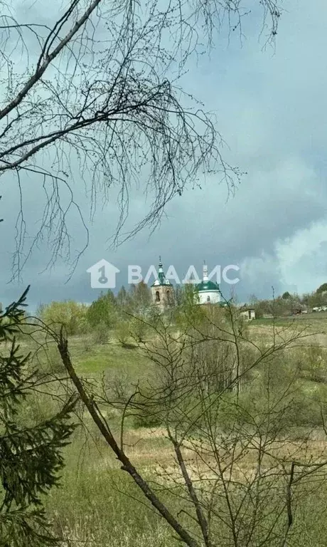 Участок в Владимирская область, Собинский муниципальный округ, с. ... - Фото 2