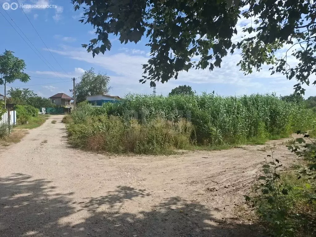 Участок в Темрюк, улица Победы (11.57 м) - Фото 2