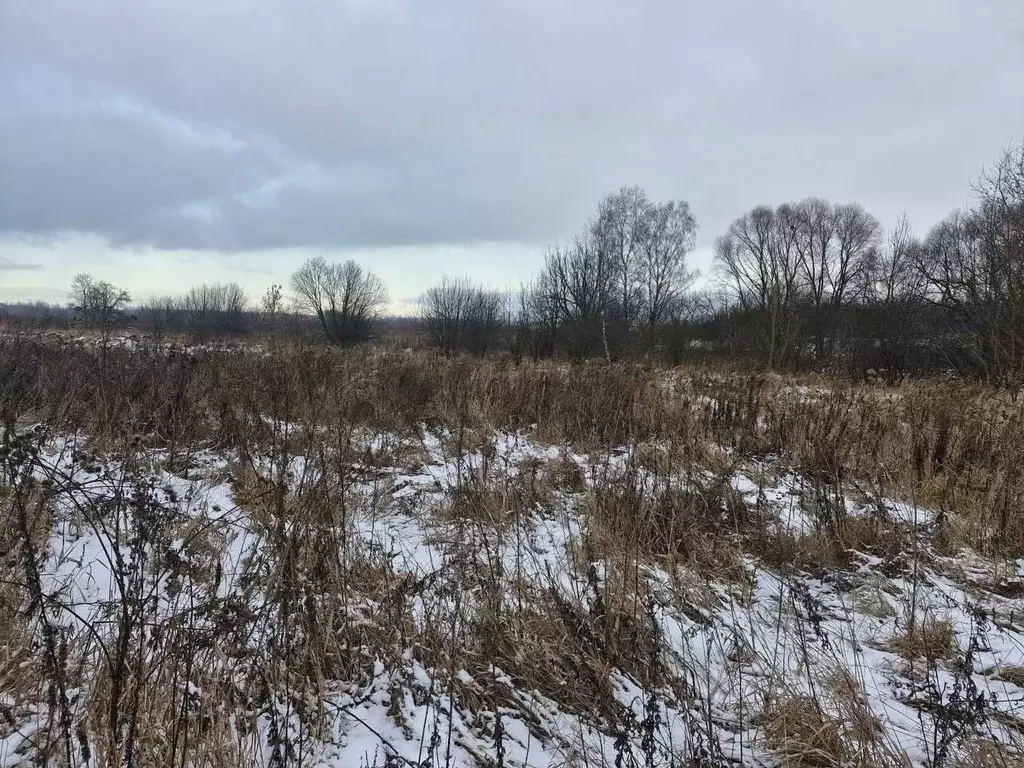 Участок в Московская область, Ступино городской округ, д. Дубнево  ... - Фото 0