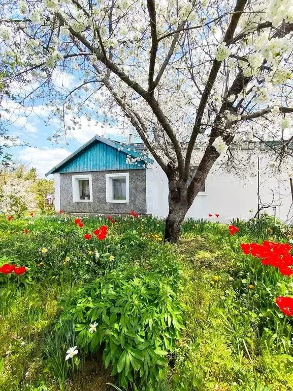 Дом в Васильевка, улица Алевтины Каманской (53.4 м) - Фото 2