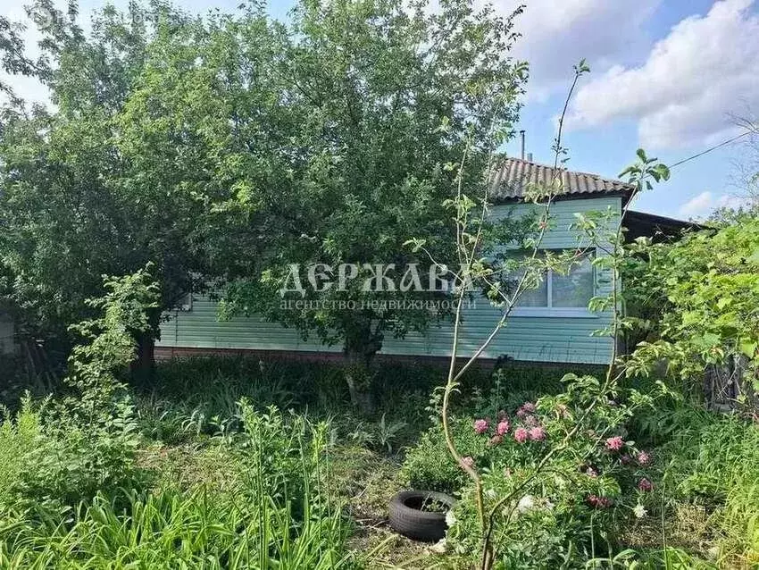 Дом в Горшеченский район, Куньевский сельсовет, село Кунье (94.6 м) - Фото 1