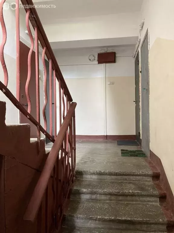 1-комнатная квартира: Петергоф, улица Дашкевича, 11А/9 (32 м) - Фото 2