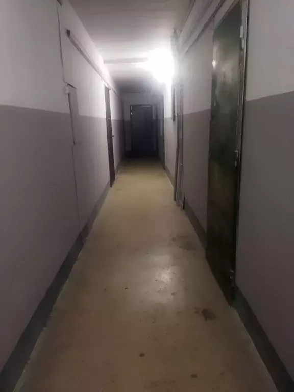 2-к кв. Свердловская область, Екатеринбург ул. Умельцев, 7 (34.0 м) - Фото 1