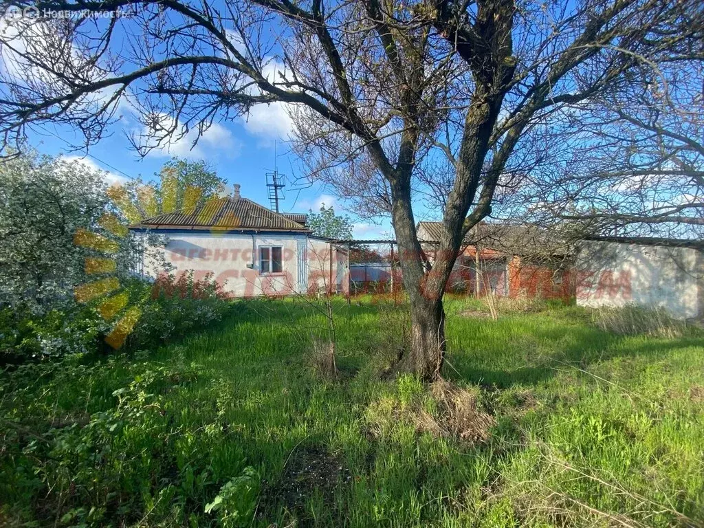 Дом в станица Должанская, улица Фрунзе (37.2 м) - Фото 1