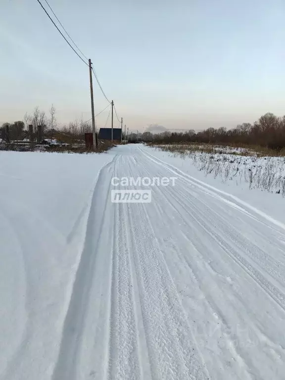 Участок в Новосибирская область, Колыванский район, Маяк СНТ ул. ... - Фото 0