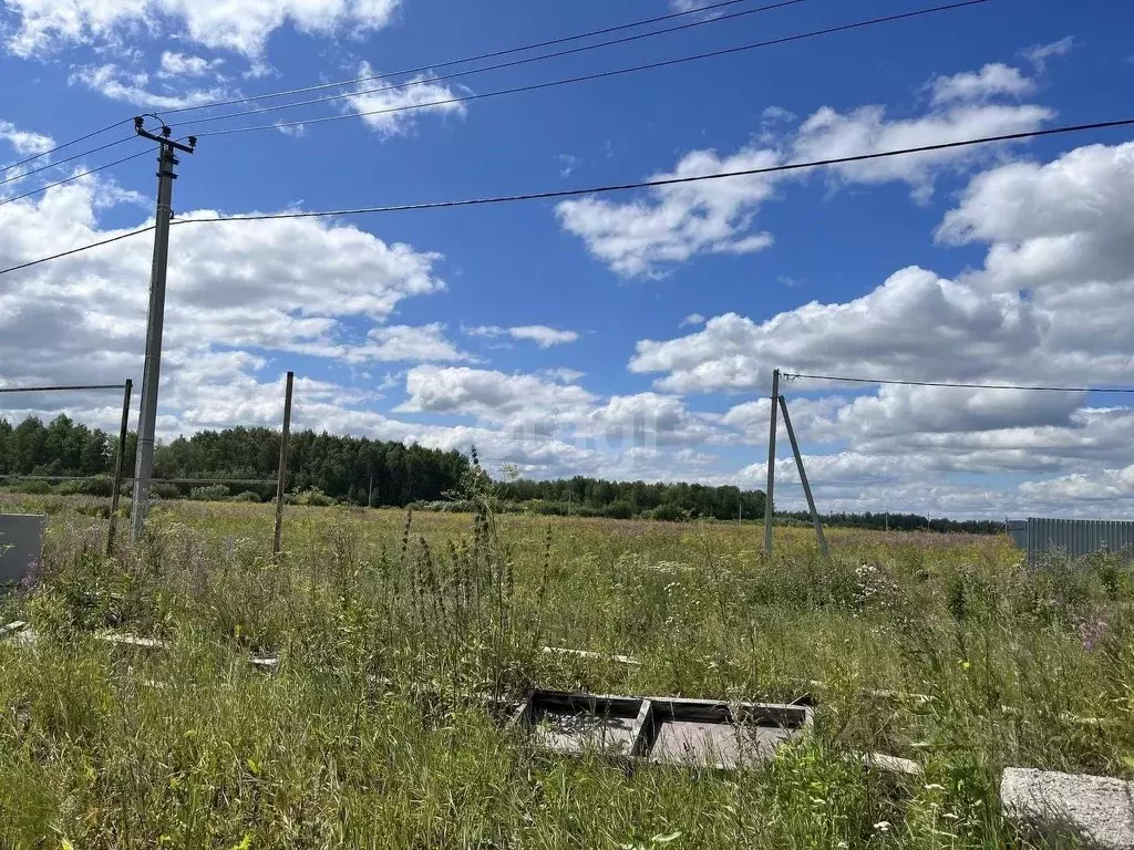 Участок в Тюменская область, Тюменский район, с. Горьковка Сибирская .,  Купить земельный участок Горьковка, Тюменский район, ID объекта -  20006726668