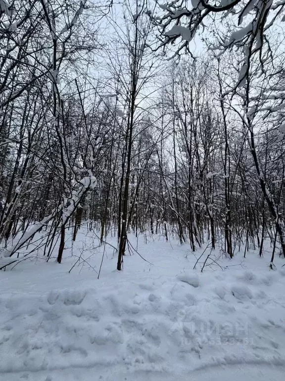 Участок в Московская область, Ступино городской округ, д. Никольская ... - Фото 1