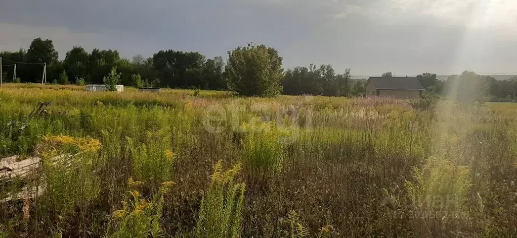 Участок в Мордовия, Саранск городской округ, пос. Пушкино  (15.0 сот.) - Фото 1