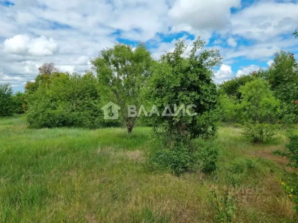 Участок в Крым, Симферопольский район, Чистенское с/пос, Геофизик ... - Фото 1