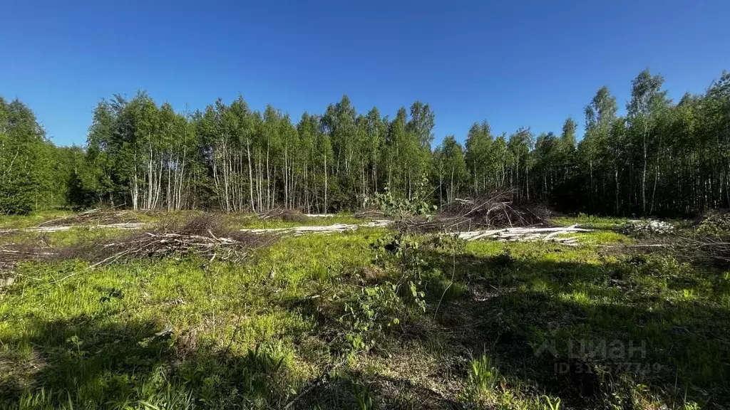 Участок в Калужская область, Жуков 4-я Родниковая ул., 1 (24.0 сот.) - Фото 0
