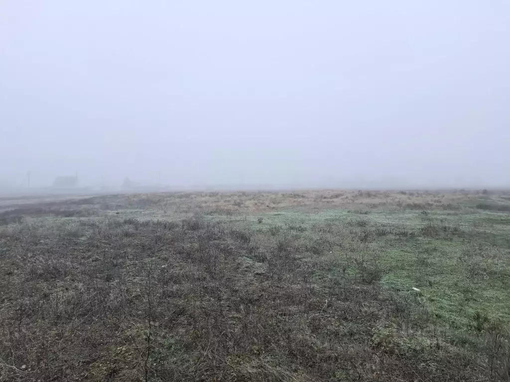 Участок в Волгоградская область, Среднеахтубинский район, ... - Фото 2