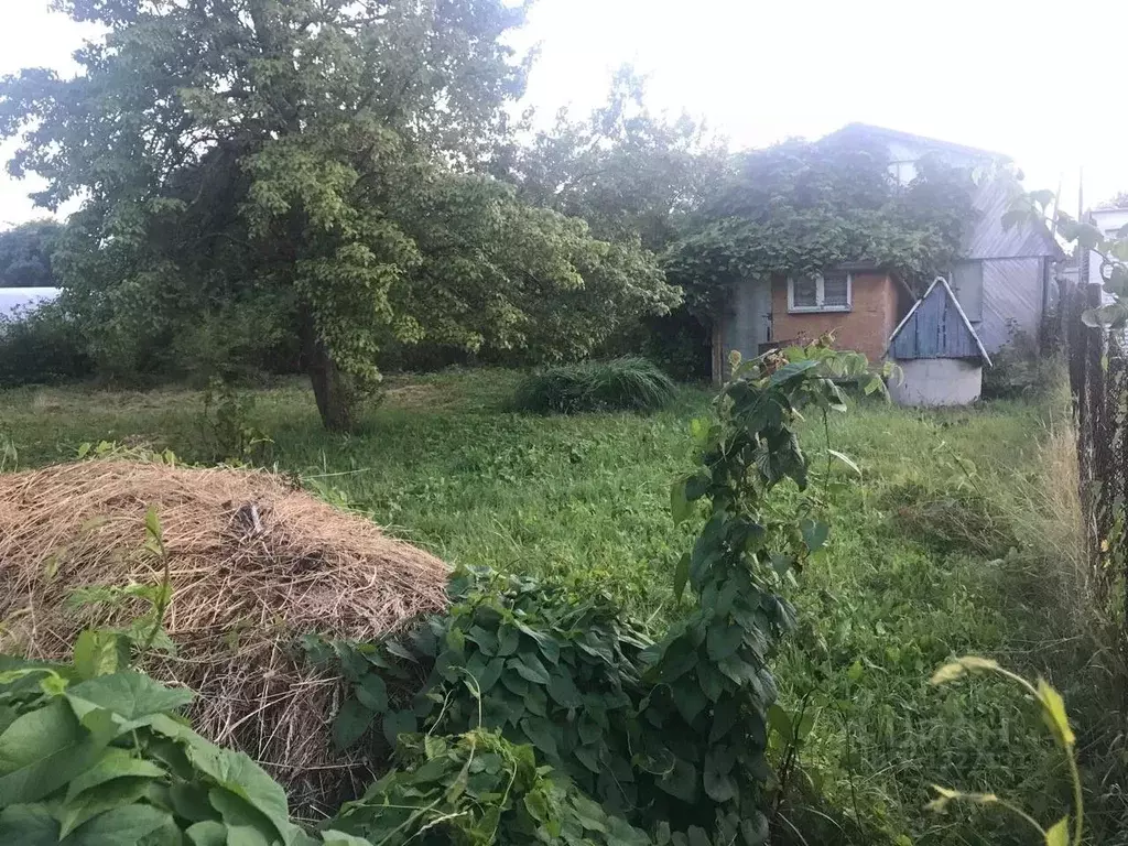 Участок в Калининградская область, Светлогорск Радуга СНТ, 13-я линия, ... - Фото 1