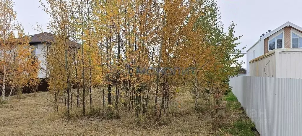 Участок в Нижегородская область, Нижний Новгород д. Новопокровское, ... - Фото 2