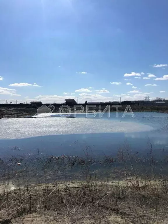 Участок в Тюменская область, Нижнетавдинский район, Венеция СНТ  (8.0 ... - Фото 0