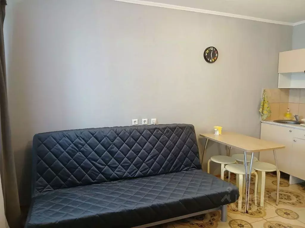 Студия Башкортостан, Уфа наб. Кустаревская, 9А (27.9 м) - Фото 2