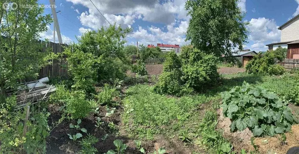 Участок в Тюменский район, село Червишево (6.1 м) - Фото 1