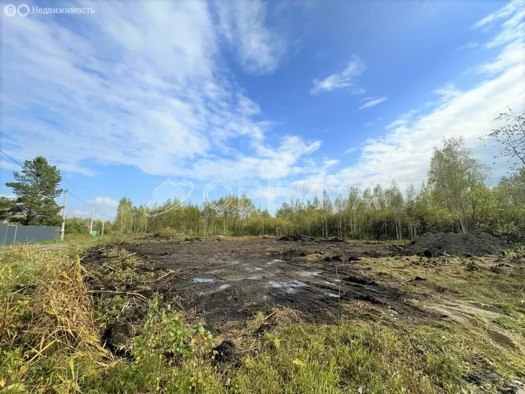 Участок в Тюменский район, СНТ Маяк (6.15 м) - Фото 0