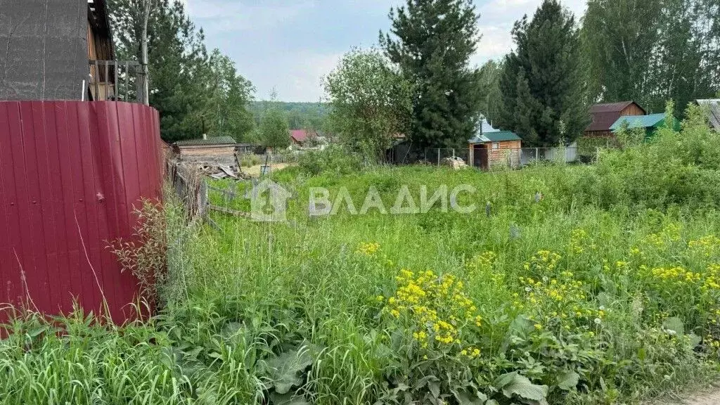 Участок в Новосибирская область, Новосибирский район, Раздольненский ... - Фото 1