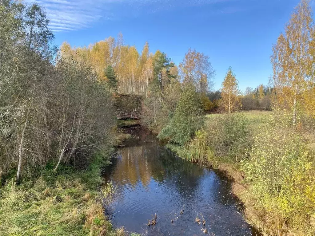 Участок в Псковская область, Гдов городское поселение  (31.0 сот.) - Фото 0