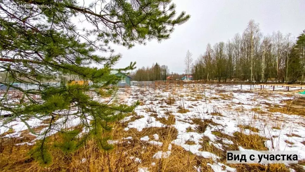 Участок в Выборгский район, Приморское городское поселение, посёлок ... - Фото 1