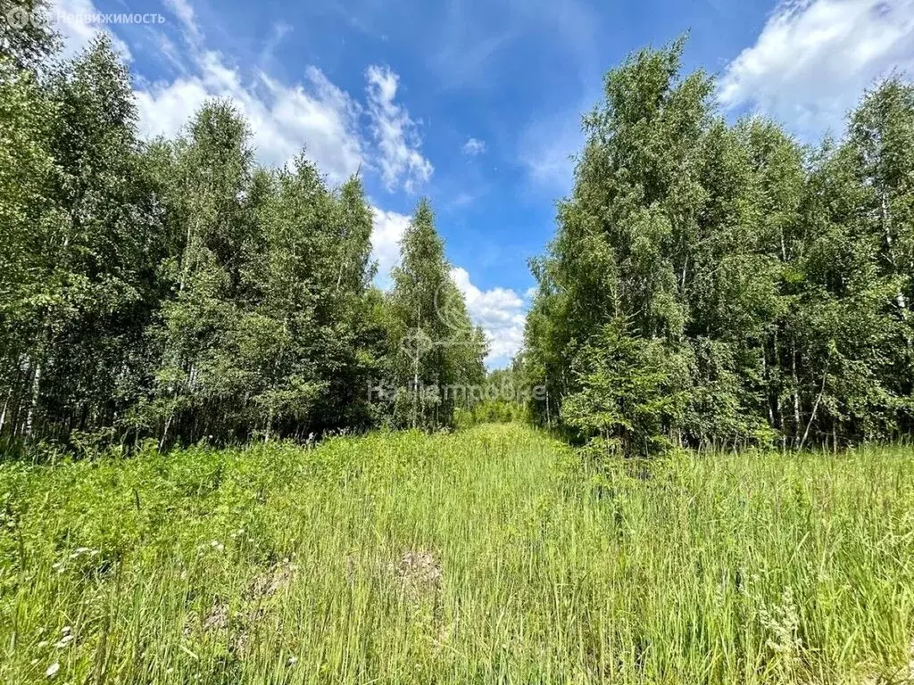 Участок в Московская область, городской округ Чехов, коттеджный ... - Фото 1