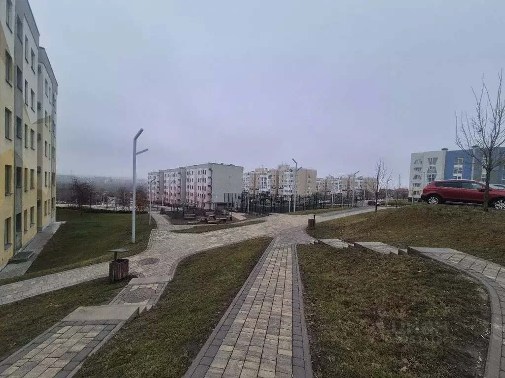 Студия Белгородская область, Белгород ул. Семейная, 5 (26.9 м) - Фото 2