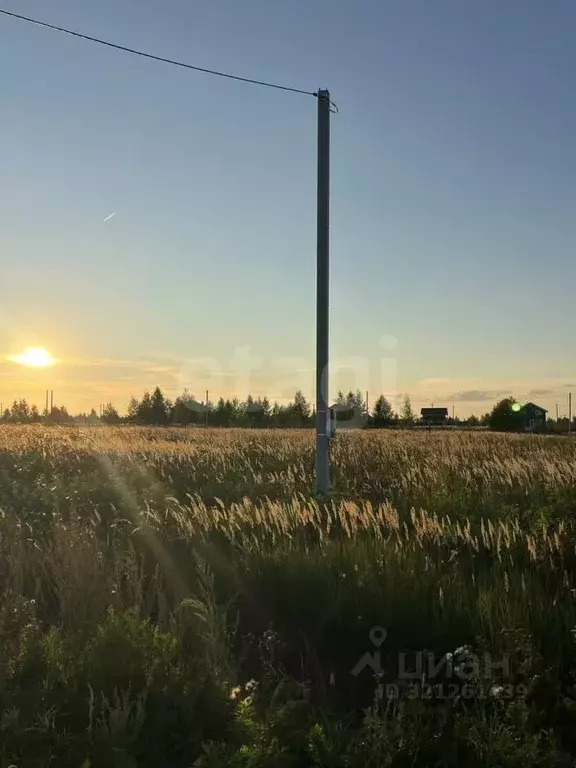 Участок в Марий Эл, Йошкар-Ола городской округ, д. Шоя-Кузнецово ул. ... - Фото 0
