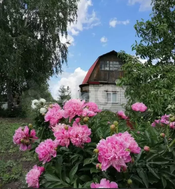 Дом в Омская область, Омск Сатурн верхний СНТ, аллея 1-я, 125 (20 м) - Фото 0