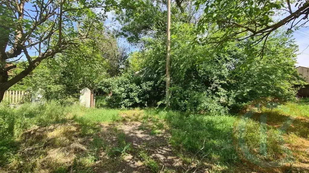 Дом в Крым, Сакский район, с. Веселовка ул. Урожайная, 84 (40 м) - Фото 2