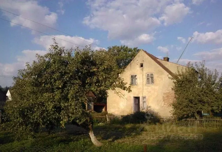 Участок в Калининградская область, Полесский муниципальный округ, пос. ... - Фото 2