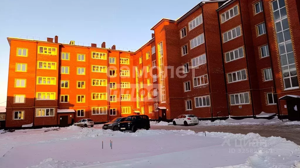 1-к кв. Оренбургская область, Бузулук ул. Челюскинцев, 73 (30.4 м) - Фото 2