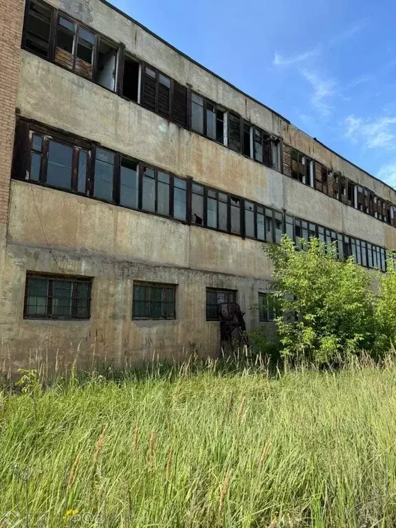 Производственное помещение в Иркутская область, Усолье-Сибирское ул. ... - Фото 1