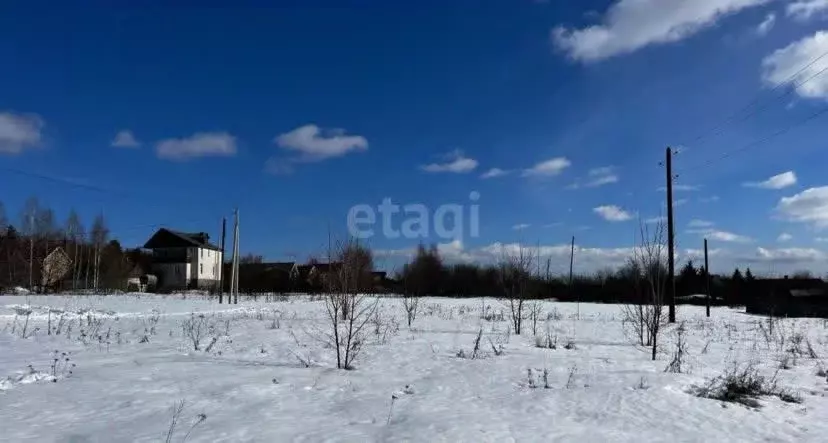 Дом в Нижегородская область, Богородский район, с. Доскино Центральная ... - Фото 0