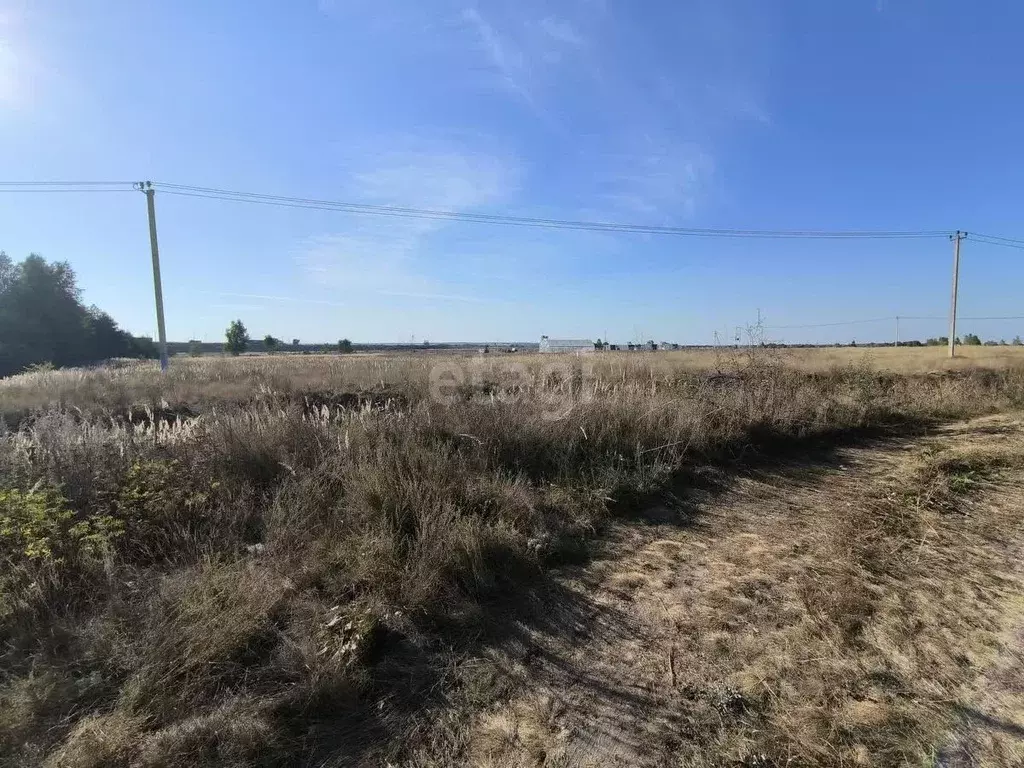 Участок в Московская область, Коломна городской округ, с. Нижнее ... - Фото 0