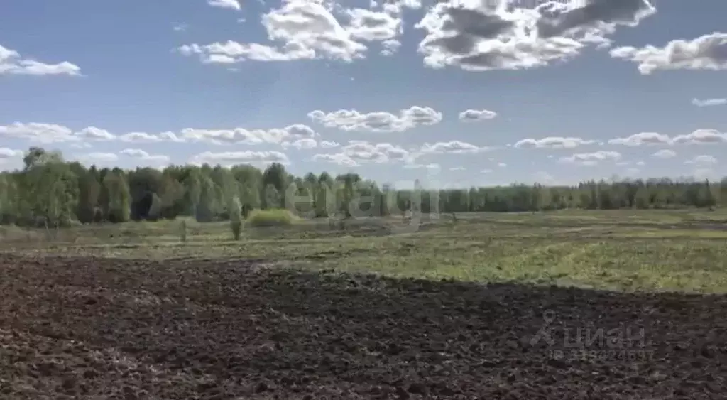 Участок в Брянская область, Почепский район, Дмитровское с/пос, пос. ... - Фото 0