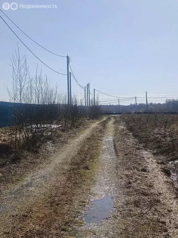 Участок в Калужская область, Боровский муниципальный округ, деревня ... - Фото 2