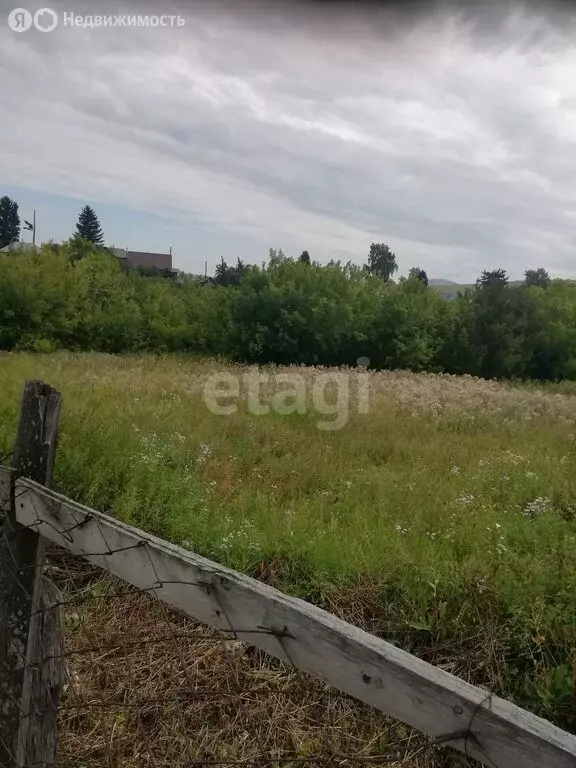 Участок в село Алтайское, улица А.А. Яркина (15 м) - Фото 2