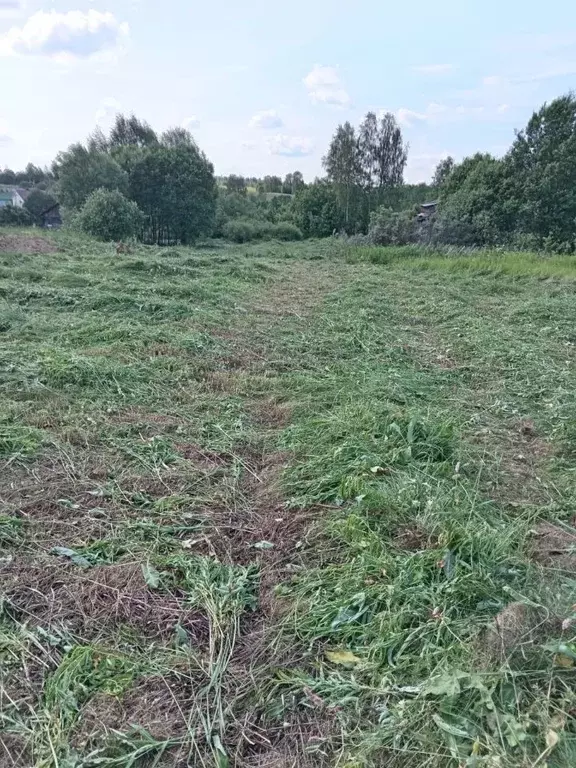 Участок в Владимирская область, Александровский район, ... - Фото 0