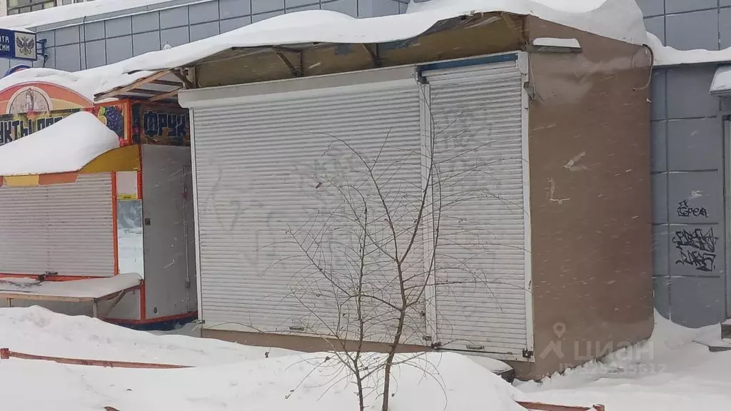 Торговая площадь в Новосибирская область, Новосибирск ул. Челюскинцев, ... - Фото 2