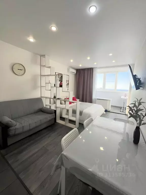 Студия Краснодарский край, Сочи Виноградная ул., 22/1Б (30.0 м) - Фото 0