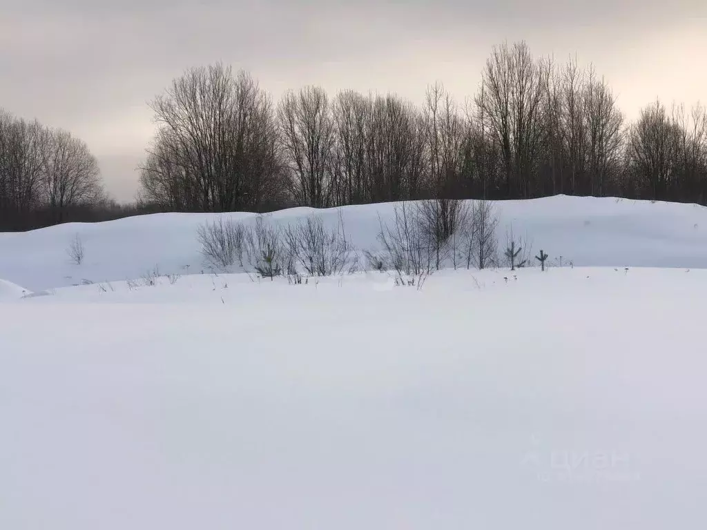 Участок в Вологодская область, Череповец ул. Рябиновая (8.0 сот.) - Фото 0