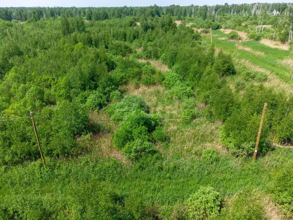 Участок в Тюменская область, Тюмень Большое Царево-1 СНТ,  (10.0 сот.) - Фото 1